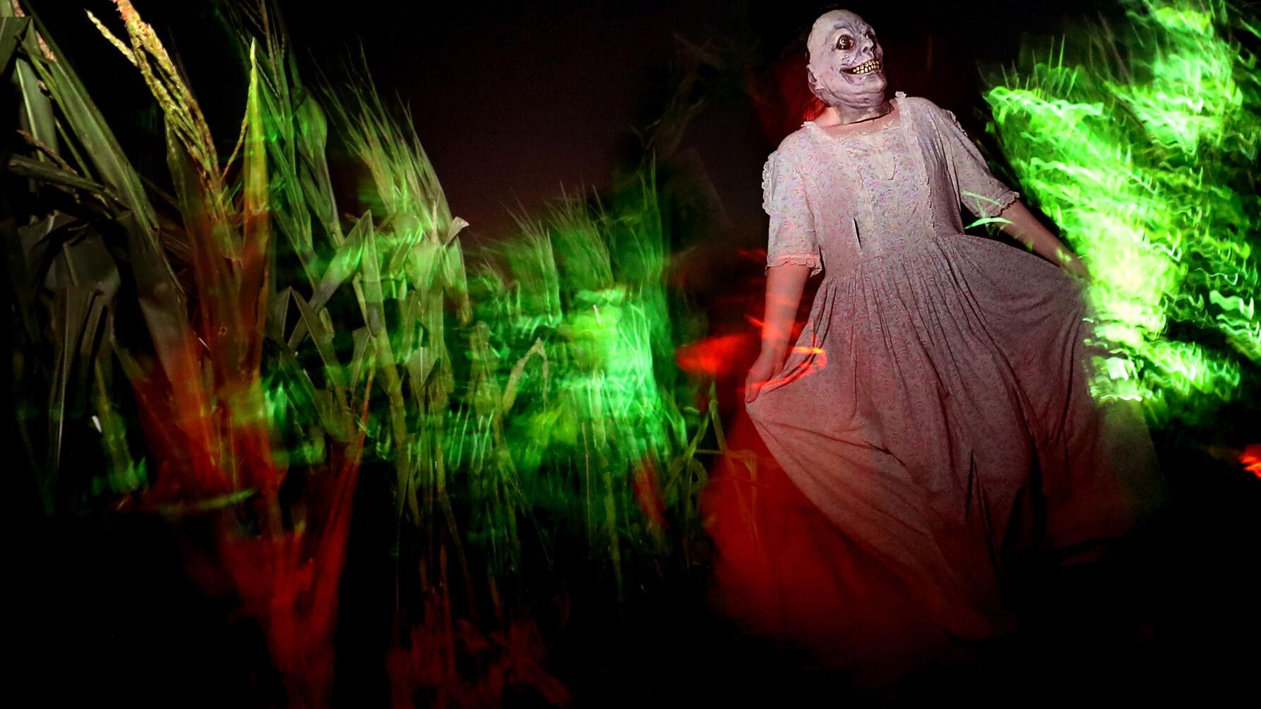 It's spooky season! Here's a long list of Tucson events